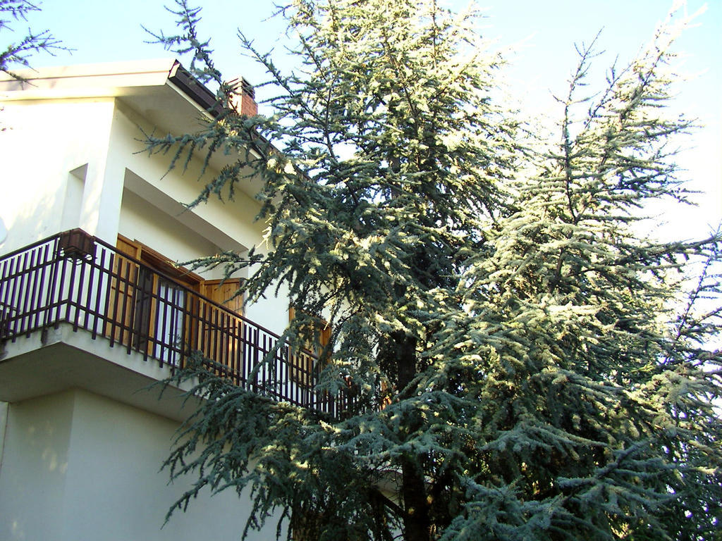 Villa Caterina B&B 페다라 외부 사진