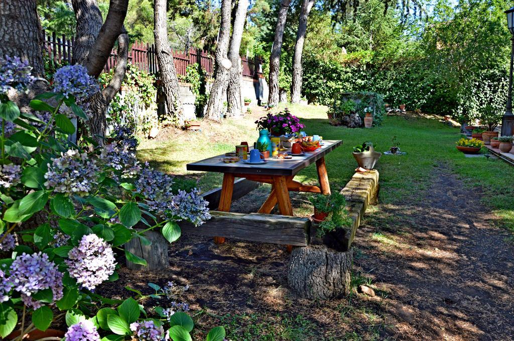 Villa Caterina B&B 페다라 외부 사진